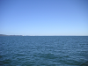 s_A_PICT0569_thumb.png